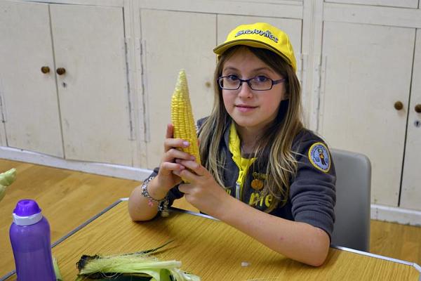 9. Sweetcorn in September.jpg